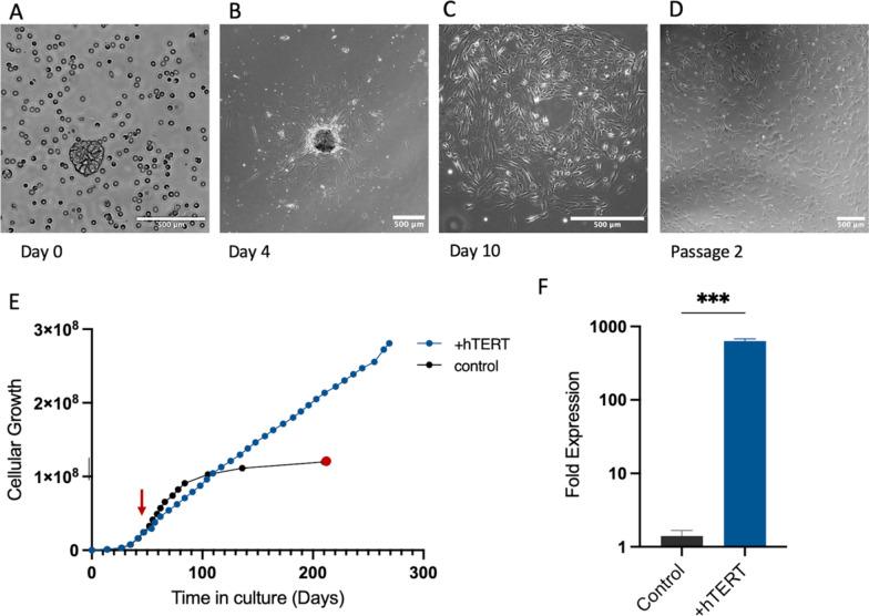 https://cdn.ncbi.nlm.nih.gov/pmc/blobs/038e/11463112/09038516f771/13287_2024_3963_Fig1_HTML.jpg