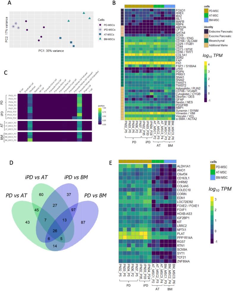 https://cdn.ncbi.nlm.nih.gov/pmc/blobs/038e/11463112/2afd5bfe58e0/13287_2024_3963_Fig4_HTML.jpg
