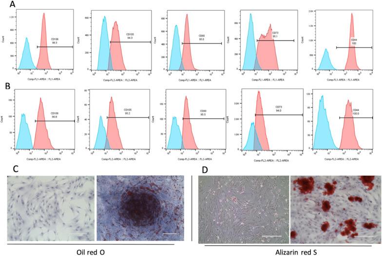 https://cdn.ncbi.nlm.nih.gov/pmc/blobs/038e/11463112/feff10119428/13287_2024_3963_Fig2_HTML.jpg