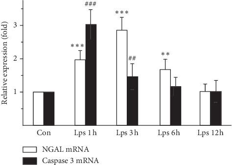 https://cdn.ncbi.nlm.nih.gov/pmc/blobs/0390/7196152/a91a442dc1e8/IJI2020-3980507.001.jpg