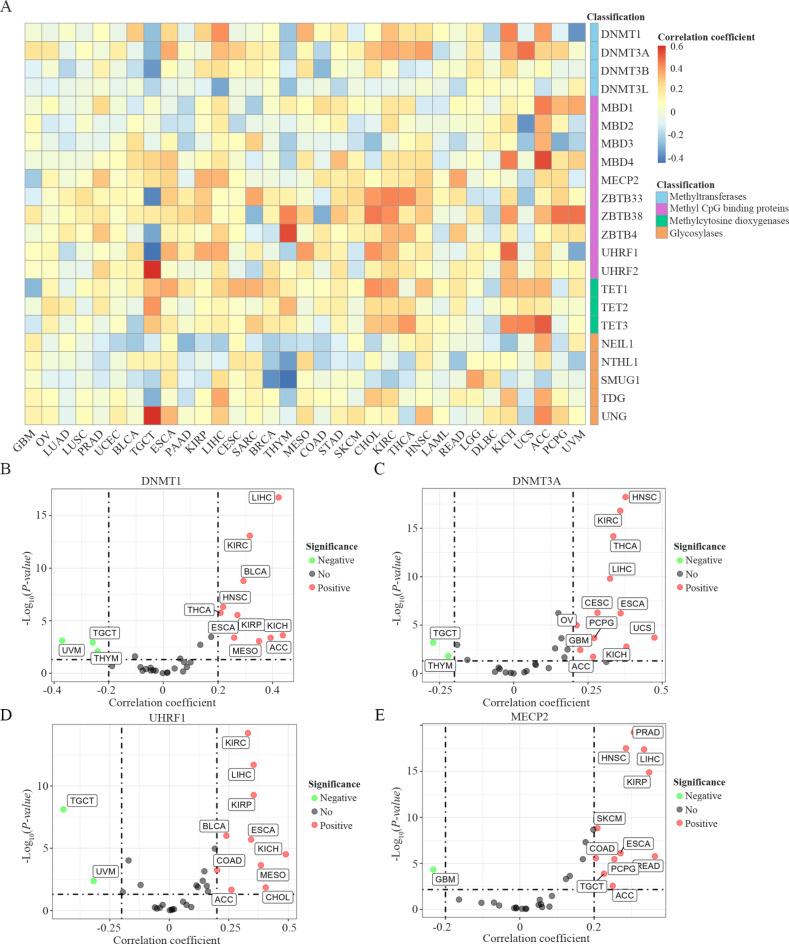 https://cdn.ncbi.nlm.nih.gov/pmc/blobs/0392/11607464/c1e9a44577e9/41598_2024_81642_Fig2_HTML.jpg