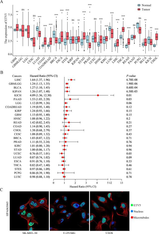 https://cdn.ncbi.nlm.nih.gov/pmc/blobs/0392/11607464/c2c317befca0/41598_2024_81642_Fig1_HTML.jpg