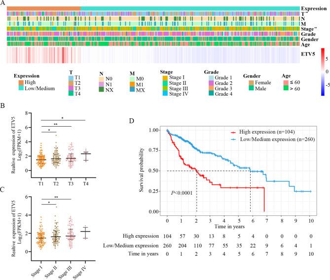 https://cdn.ncbi.nlm.nih.gov/pmc/blobs/0392/11607464/dd449560ae15/41598_2024_81642_Fig8_HTML.jpg