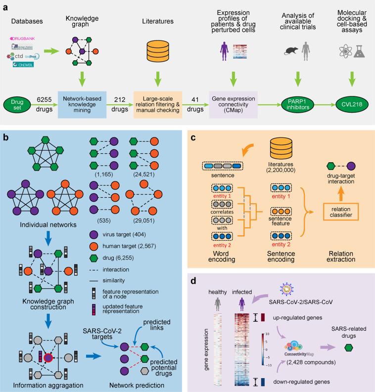 https://cdn.ncbi.nlm.nih.gov/pmc/blobs/0392/8068731/4b4373f56de9/41392_2021_568_Fig1_HTML.jpg
