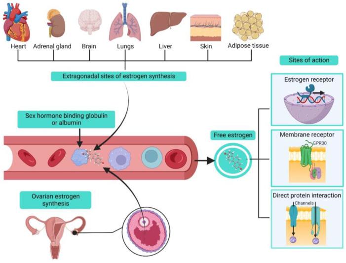 https://cdn.ncbi.nlm.nih.gov/pmc/blobs/0394/10178541/04bc524c9e5a/ijms-24-07879-g002.jpg