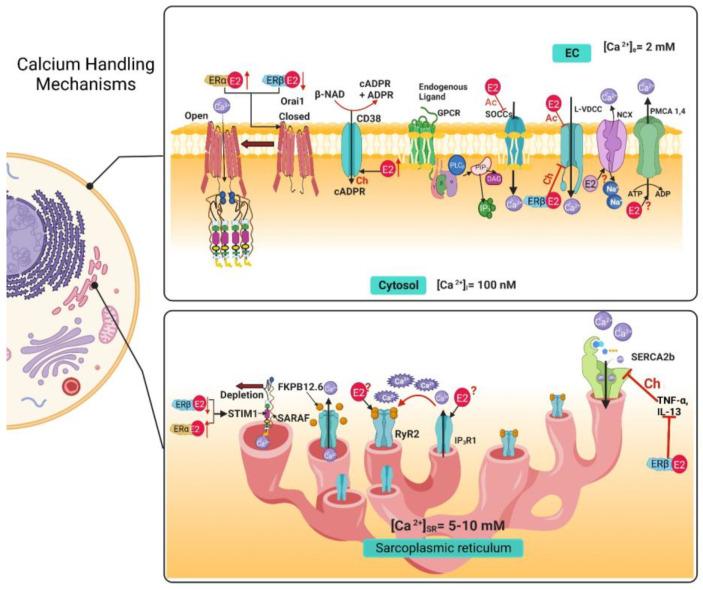 https://cdn.ncbi.nlm.nih.gov/pmc/blobs/0394/10178541/492c03d8922a/ijms-24-07879-g003.jpg
