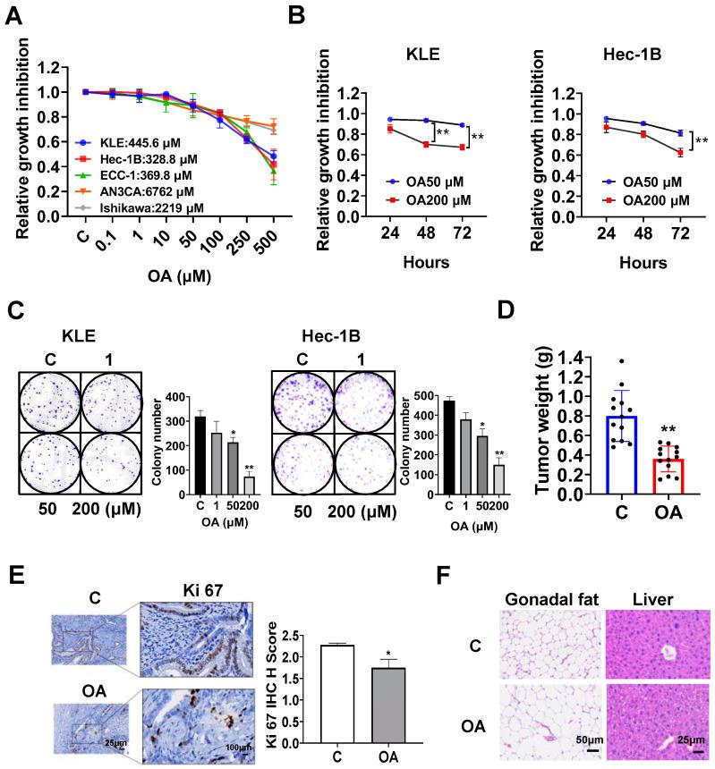 https://cdn.ncbi.nlm.nih.gov/pmc/blobs/0394/10670880/35e43f10aeba/cancers-15-05407-g001.jpg