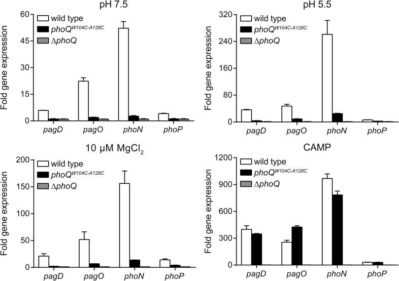 https://cdn.ncbi.nlm.nih.gov/pmc/blobs/0394/4473727/11a048797ae3/elife06792fs003.jpg