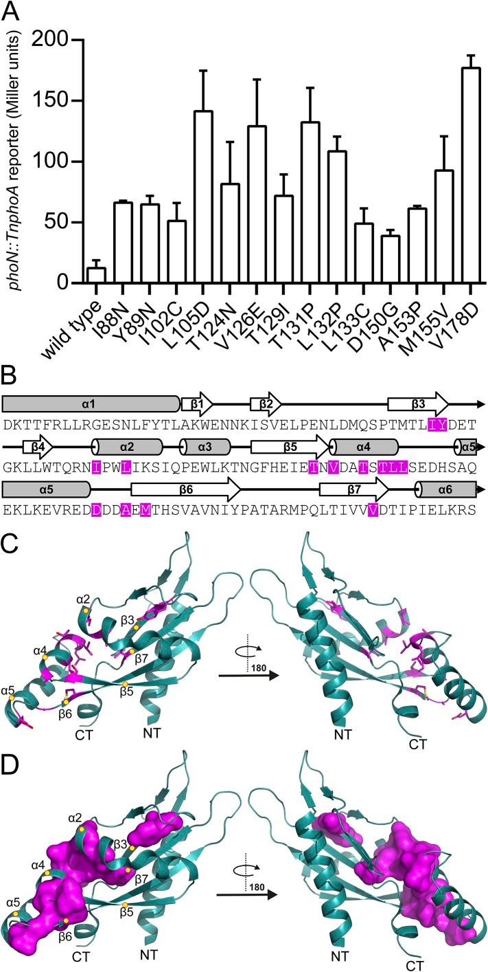 https://cdn.ncbi.nlm.nih.gov/pmc/blobs/0394/4473727/896285924f53/elife06792fs001.jpg