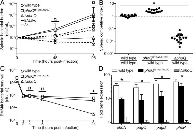 https://cdn.ncbi.nlm.nih.gov/pmc/blobs/0394/4473727/9bdd12f70674/elife06792f005.jpg