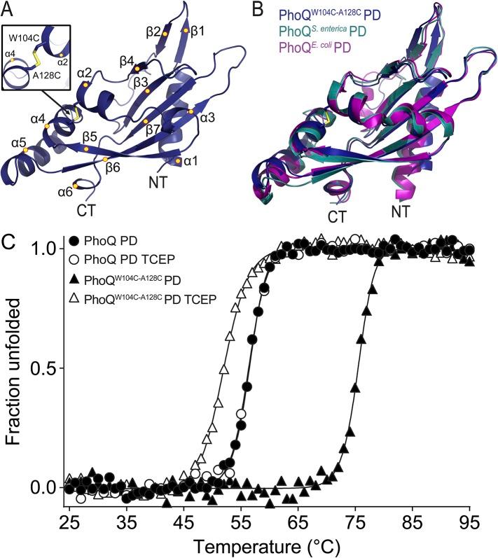 https://cdn.ncbi.nlm.nih.gov/pmc/blobs/0394/4473727/9e2d30917968/elife06792f004.jpg