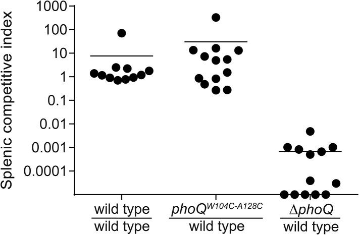 https://cdn.ncbi.nlm.nih.gov/pmc/blobs/0394/4473727/cf7d09d22c3b/elife06792fs005.jpg