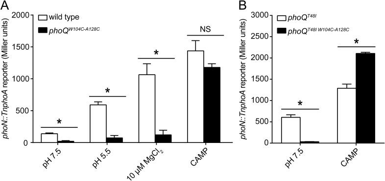https://cdn.ncbi.nlm.nih.gov/pmc/blobs/0394/4473727/d7092bfa37e8/elife06792f003.jpg