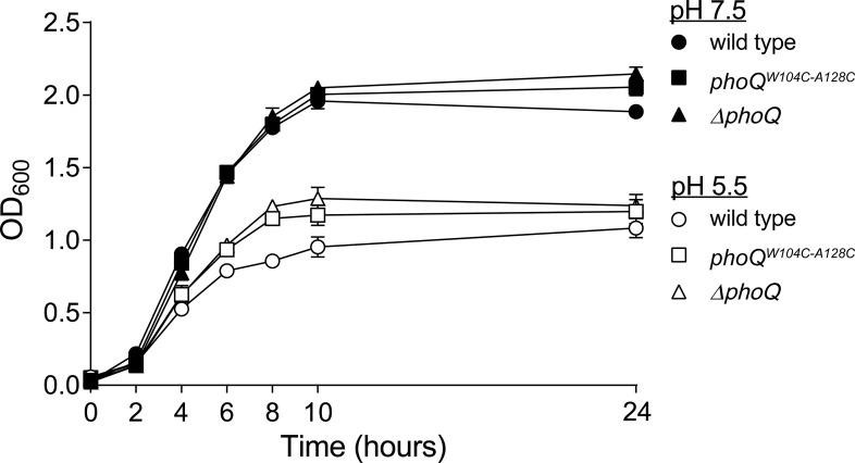 https://cdn.ncbi.nlm.nih.gov/pmc/blobs/0394/4473727/ee510a9781e5/elife06792fs006.jpg