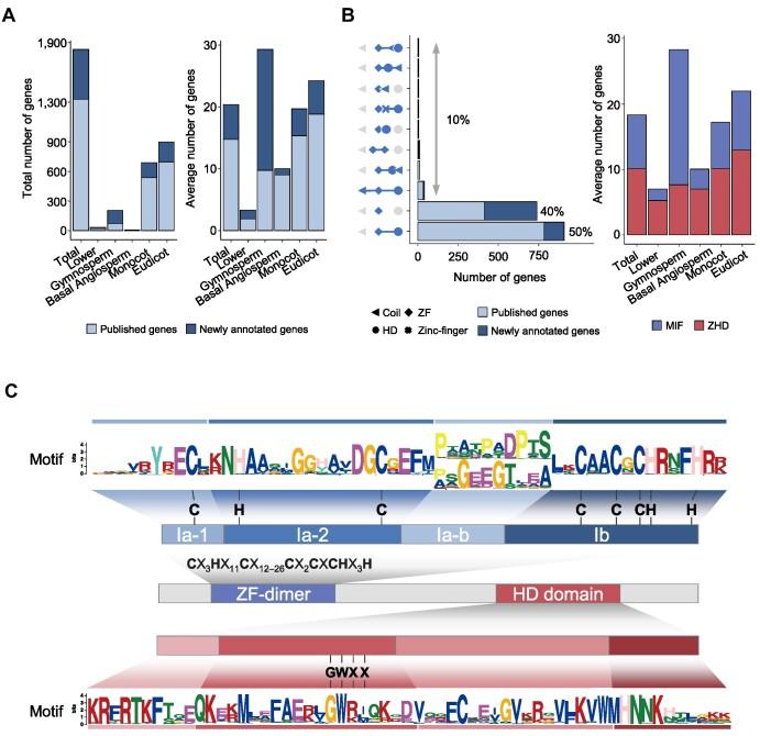 https://cdn.ncbi.nlm.nih.gov/pmc/blobs/0396/10415114/11aa94ae3762/gkad489fig1.jpg