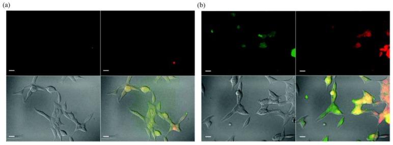 https://cdn.ncbi.nlm.nih.gov/pmc/blobs/0396/5452096/2f021406b3dc/materials-06-00483-g010.jpg