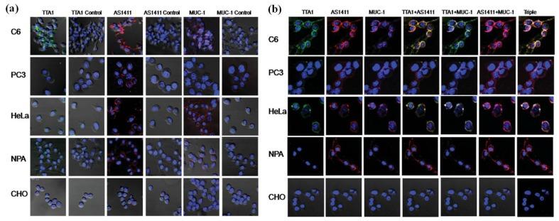 https://cdn.ncbi.nlm.nih.gov/pmc/blobs/0396/5452096/42feb775a253/materials-06-00483-g003.jpg