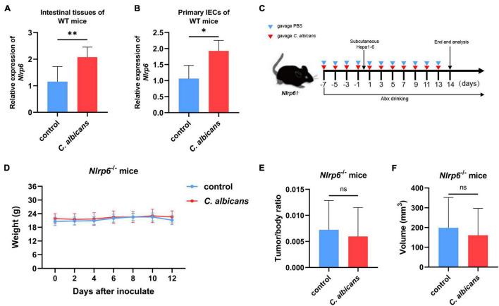 https://cdn.ncbi.nlm.nih.gov/pmc/blobs/0396/8964356/734f4401d015/fmicb-13-812771-g005.jpg