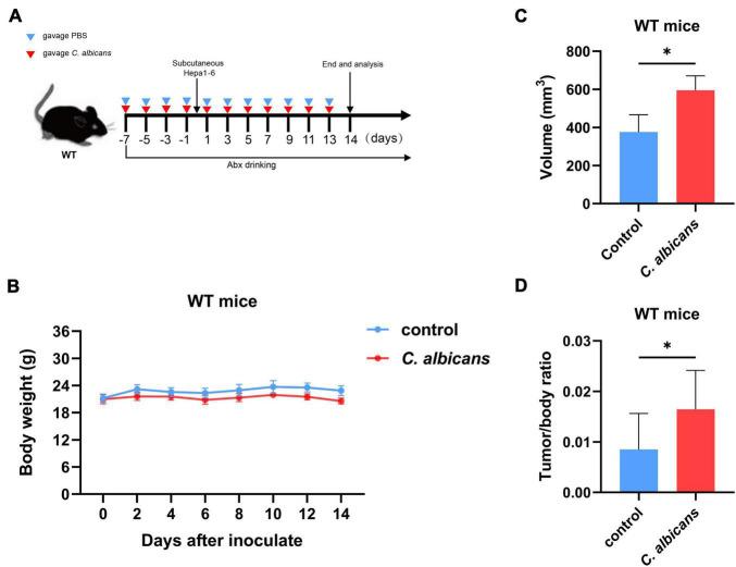 https://cdn.ncbi.nlm.nih.gov/pmc/blobs/0396/8964356/842a5285054c/fmicb-13-812771-g003.jpg