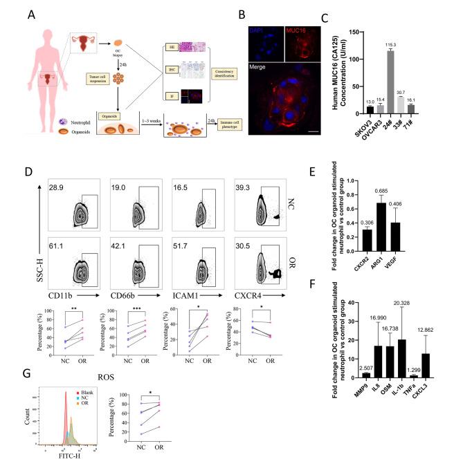 https://cdn.ncbi.nlm.nih.gov/pmc/blobs/0399/10466733/360971839e51/13048_2023_1207_Fig2_HTML.jpg