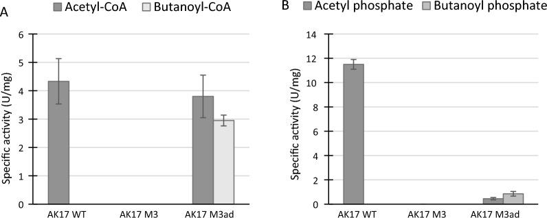 https://cdn.ncbi.nlm.nih.gov/pmc/blobs/039a/10496261/f478d0ad468a/13068_2023_2388_Fig3_HTML.jpg