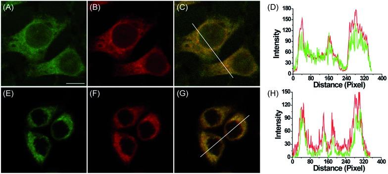 https://cdn.ncbi.nlm.nih.gov/pmc/blobs/039c/6024174/acbe7da3dec6/c6sc01793b-f2.jpg