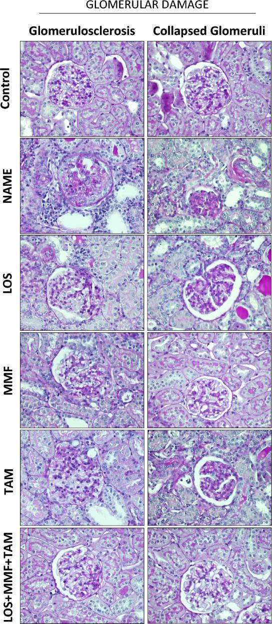 https://cdn.ncbi.nlm.nih.gov/pmc/blobs/039d/10460450/1a6e195e27f8/41598_2023_39299_Fig3_HTML.jpg