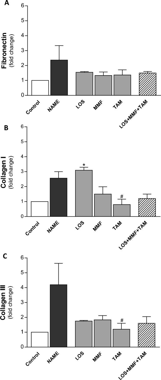 https://cdn.ncbi.nlm.nih.gov/pmc/blobs/039d/10460450/677a81bf7460/41598_2023_39299_Fig7_HTML.jpg