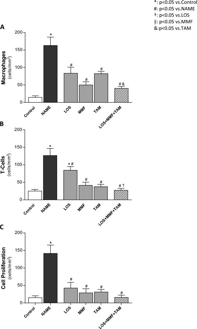 https://cdn.ncbi.nlm.nih.gov/pmc/blobs/039d/10460450/786e5325f8e3/41598_2023_39299_Fig9_HTML.jpg
