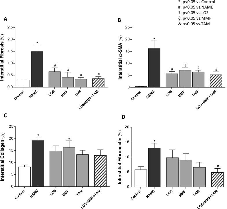 https://cdn.ncbi.nlm.nih.gov/pmc/blobs/039d/10460450/876381f0eef1/41598_2023_39299_Fig6_HTML.jpg