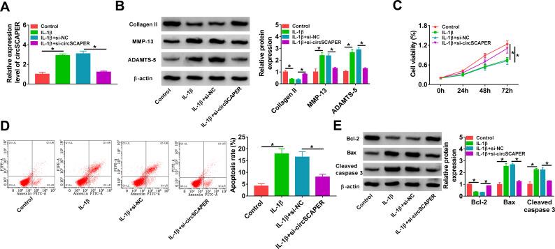 https://cdn.ncbi.nlm.nih.gov/pmc/blobs/039d/8882325/7b88e220fd0e/BJR-11-61-g0002.jpg