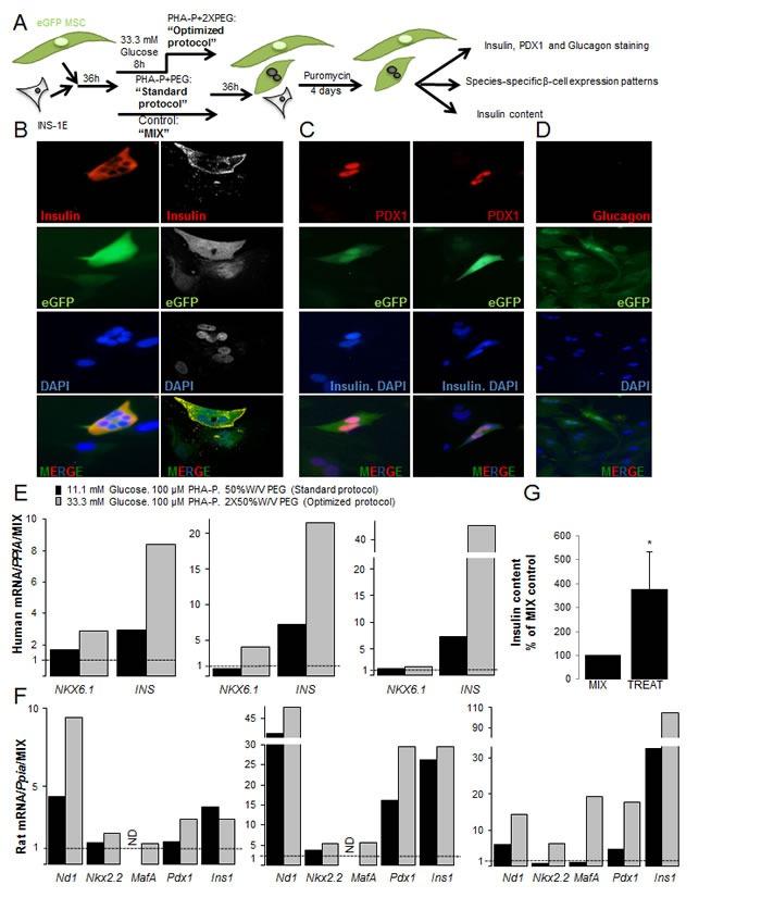 https://cdn.ncbi.nlm.nih.gov/pmc/blobs/03a1/5226484/7a1e805a8152/oncotarget-07-48963-g003.jpg