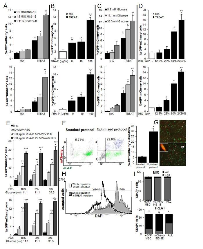 https://cdn.ncbi.nlm.nih.gov/pmc/blobs/03a1/5226484/dd65e3f53eea/oncotarget-07-48963-g002.jpg