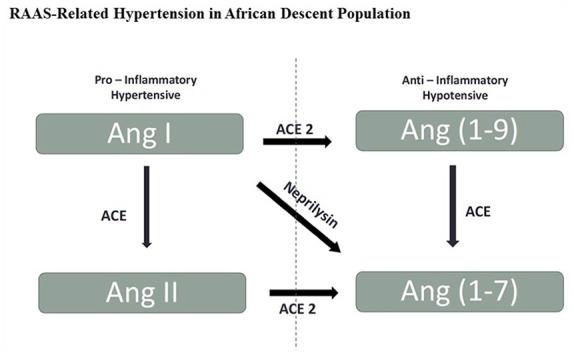 https://cdn.ncbi.nlm.nih.gov/pmc/blobs/03a2/7036504/afda99e8843c/10.1177_1470320320908186-fig1.jpg
