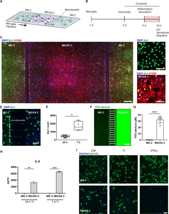https://cdn.ncbi.nlm.nih.gov/pmc/blobs/03a8/12181861/2e7419905735/12964_2025_2304_Fig4_HTML.jpg