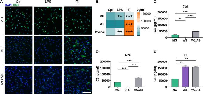 https://cdn.ncbi.nlm.nih.gov/pmc/blobs/03a8/12181861/9a45552b737a/12964_2025_2304_Fig7_HTML.jpg