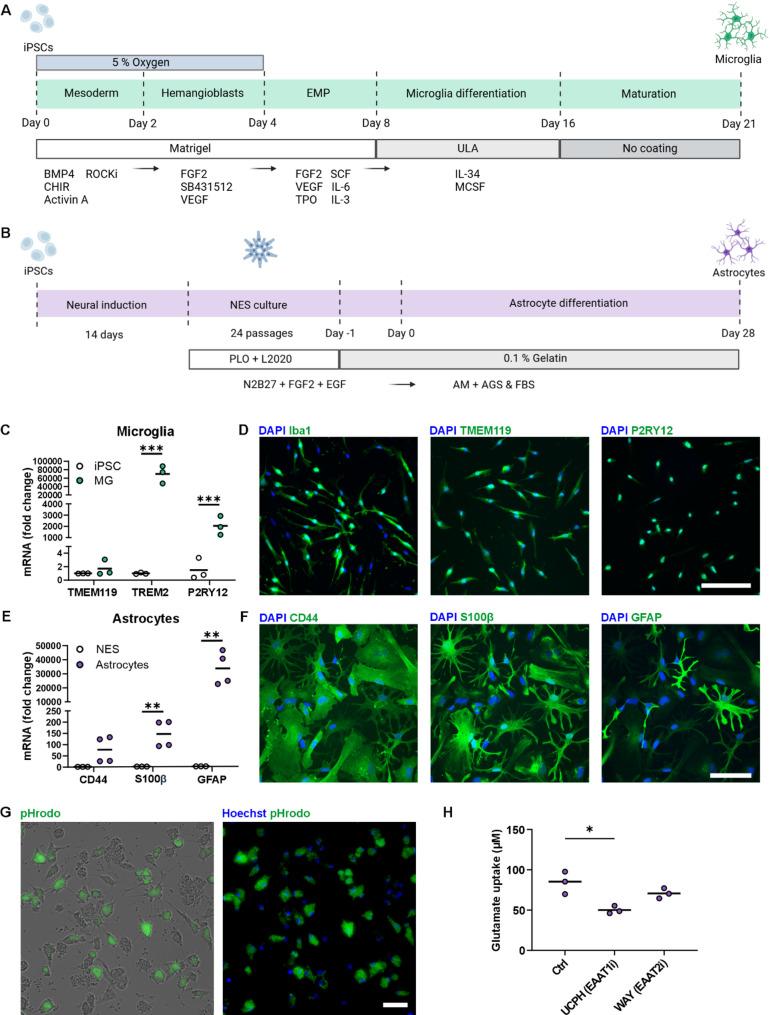 https://cdn.ncbi.nlm.nih.gov/pmc/blobs/03a8/12181861/cd0f764a7864/12964_2025_2304_Fig1_HTML.jpg