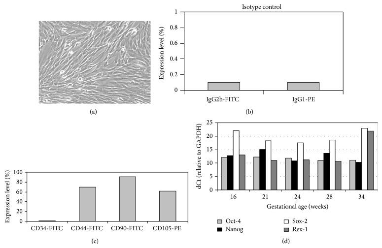 https://cdn.ncbi.nlm.nih.gov/pmc/blobs/03a8/4553339/d78671ef71ff/SCI2015-319238.002.jpg