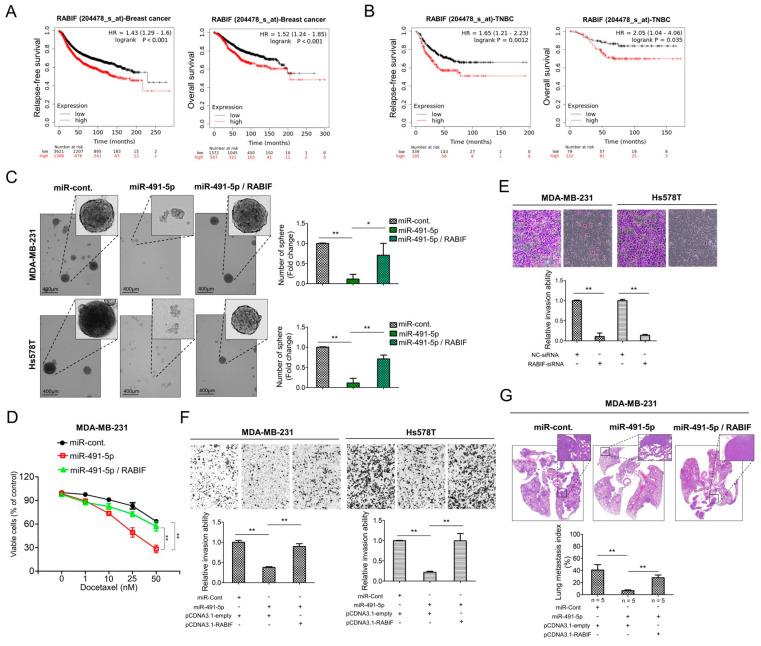 https://cdn.ncbi.nlm.nih.gov/pmc/blobs/03a8/8534268/8e8f84336392/cells-10-02524-g005.jpg