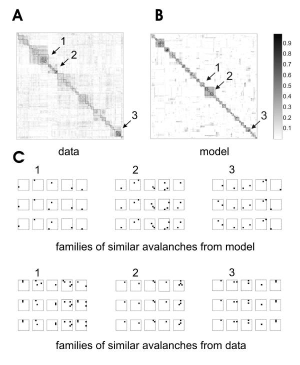 https://cdn.ncbi.nlm.nih.gov/pmc/blobs/03a9/2824798/0be9c5cc909b/1471-2202-11-3-5.jpg