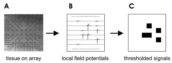 https://cdn.ncbi.nlm.nih.gov/pmc/blobs/03a9/2824798/e99c3d2d02c1/1471-2202-11-3-1.jpg