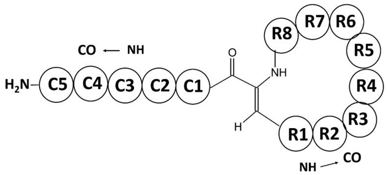 https://cdn.ncbi.nlm.nih.gov/pmc/blobs/03a9/5408270/130f48729caf/marinedrugs-15-00124-g004.jpg