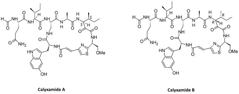 https://cdn.ncbi.nlm.nih.gov/pmc/blobs/03a9/5408270/e5de0b3b0e26/marinedrugs-15-00124-g005.jpg