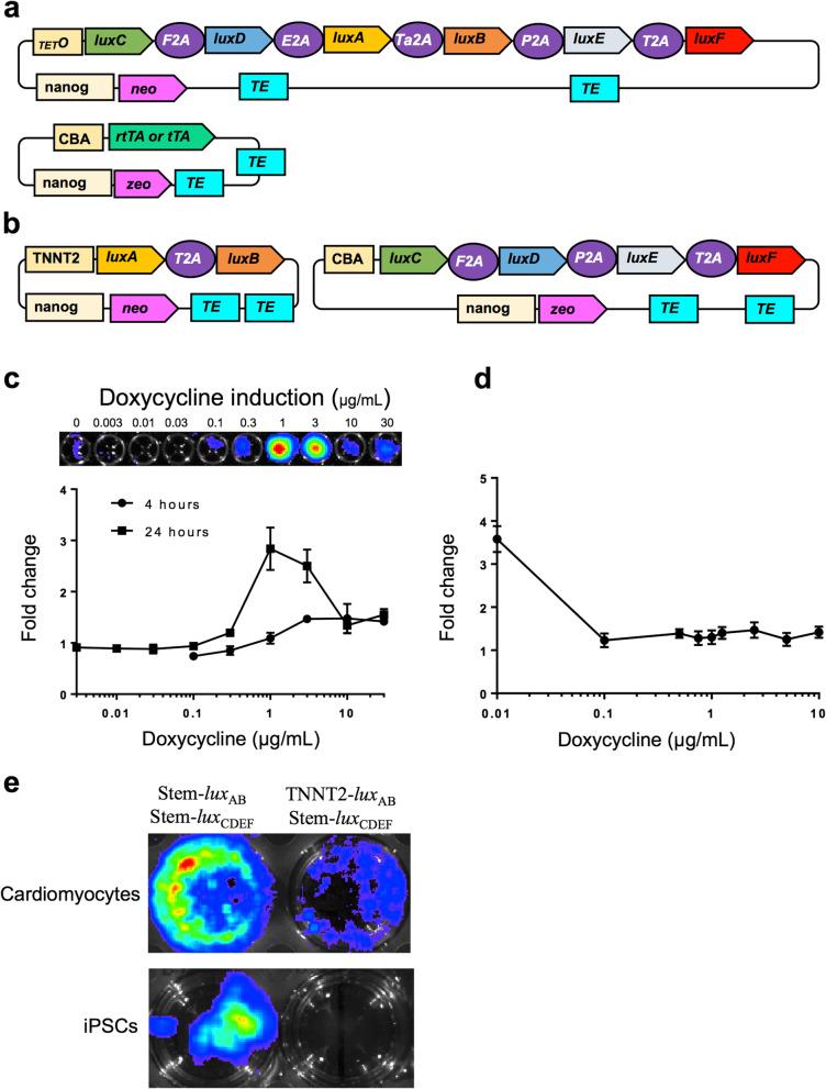 https://cdn.ncbi.nlm.nih.gov/pmc/blobs/03ac/7333384/8d78a809d918/12915_2020_815_Fig5_HTML.jpg