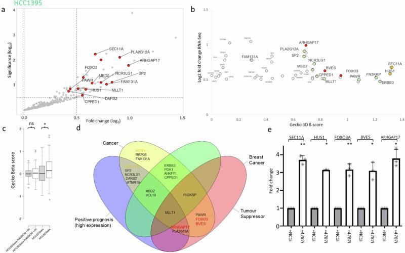 https://cdn.ncbi.nlm.nih.gov/pmc/blobs/03ad/11246431/ae4b37c71af3/42003_2024_6555_Fig5_HTML.jpg