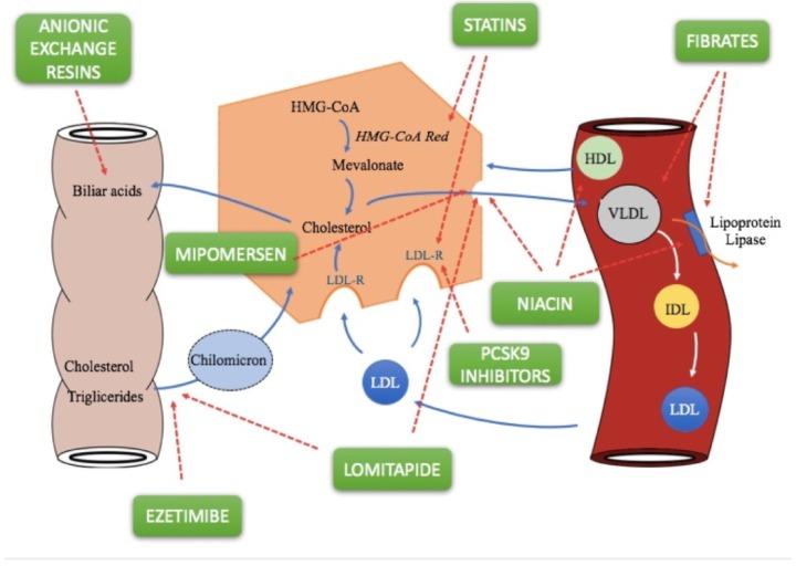 https://cdn.ncbi.nlm.nih.gov/pmc/blobs/03ad/5874549/aa82daae96bb/pharmacy-06-00010-g001.jpg