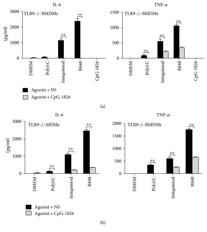 https://cdn.ncbi.nlm.nih.gov/pmc/blobs/03b2/5429961/c39615259dab/MI2017-6541729.004.jpg