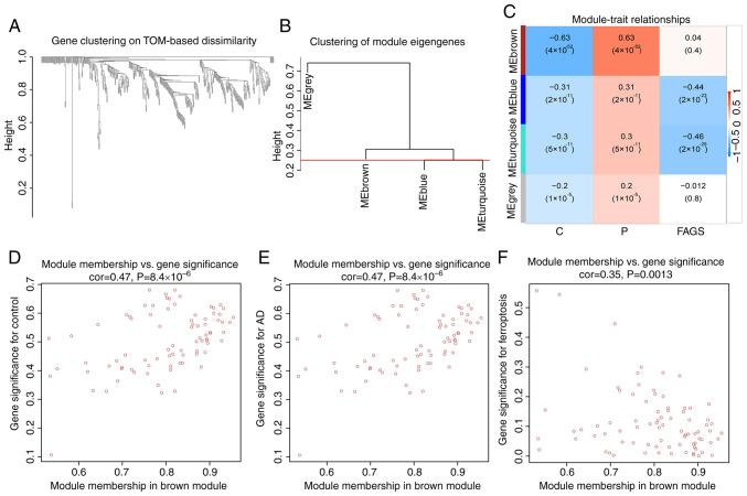 https://cdn.ncbi.nlm.nih.gov/pmc/blobs/03b6/11240865/69c44a7724a5/mmr-30-03-13279-g03.jpg