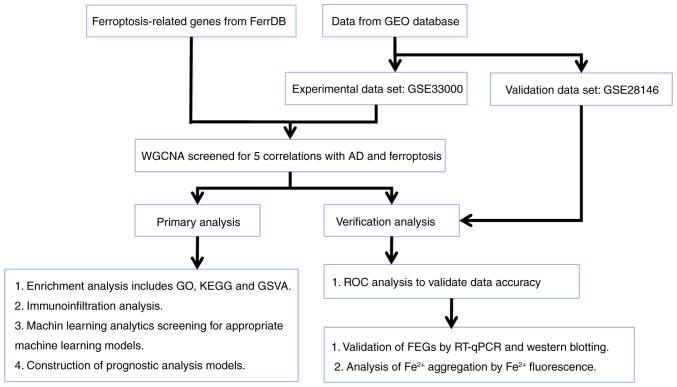 https://cdn.ncbi.nlm.nih.gov/pmc/blobs/03b6/11240865/b4b602c3b2c0/mmr-30-03-13279-g00.jpg