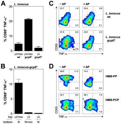 https://cdn.ncbi.nlm.nih.gov/pmc/blobs/03b6/3093373/29d30cf75b9d/ppat.1002040.g006.jpg